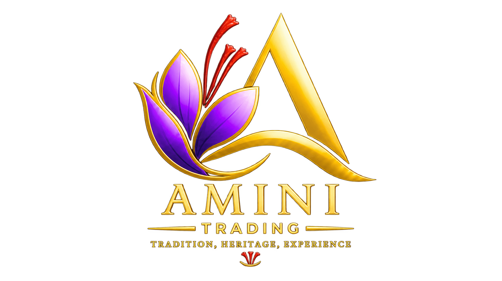 Amini Trading